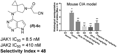 Graphical abstract: Design, synthesis and evaluation of (R)-3-(7-(methyl(7H-pyrrolo[2,3-d]pyrimidin-4-yl)amino)-5-azaspiro[2.4]heptan-5-yl)-3-oxopropanenitrile as a JAK1-selective inhibitor