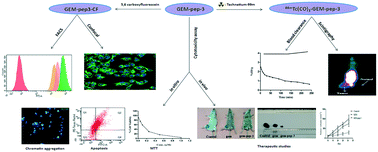 Graphical abstract: Development of a peptide-based bifunctional chelator conjugated to a cytotoxic drug for the treatment of melanotic melanoma