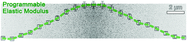 Graphical abstract: Magnetically actuated functional gradient nanocomposites for strong and ultra-durable biomimetic interfaces/surfaces