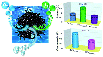 Graphical abstract: Co/CoP embedded in a hairy nitrogen-doped carbon polyhedron as an advanced tri-functional electrocatalyst