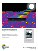 Graphical abstract: Inside back cover