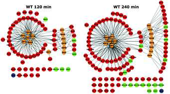 Graphical abstract: A quantitative and temporal map of proteostasis during heat shock in Saccharomyces cerevisiae