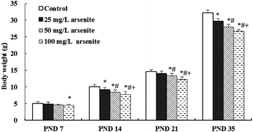 Graphical abstract: Effects of developmental arsenite exposure on hippocampal synapses in mouse offspring