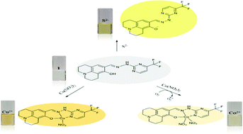 Graphical abstract: A new Schiff-based chemosensor for chromogenic sensing of Cu2+, Co2+ and S2− in aqueous solution: experimental and theoretical studies