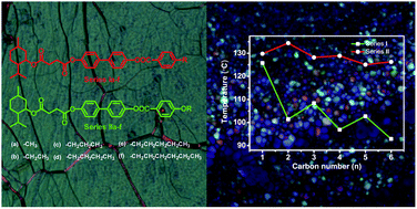 Graphical abstract: The effect of chain length in terminal groups on the mesomorphic behavior of novel (−)-menthol-based chiral liquid crystal compounds with a blue phase