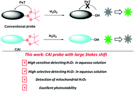 Graphical abstract: A mitochondria-targetable fluorescent probe with a large Stokes shift for detecting hydrogen peroxide in aqueous solution and living cells