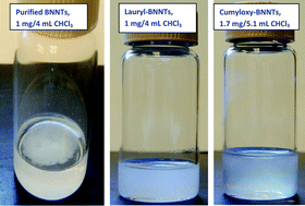 Graphical abstract: Covalent derivatization of boron nitride nanotubes with peroxides and their application in polycarbonate composites