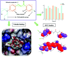 Graphical abstract: Design and in vitro biological evaluation of substituted chalcones synthesized from nitrogen mustards as potent microtubule targeted anticancer agents