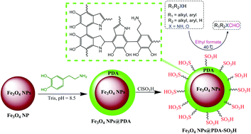 Graphical abstract: Application of polydopamine sulfamic acid-functionalized magnetic Fe3O4 nanoparticles (Fe3O4@PDA-SO3H) as a heterogeneous and recyclable nanocatalyst for the formylation of alcohols and amines under solvent-free conditions
