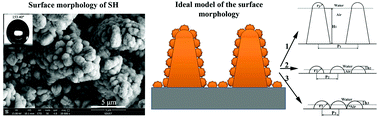 Graphical abstract: Three-level hierarchical superhydrophobic Cu–Zn coating on a steel substrate without chemical modification for self-cleaning property