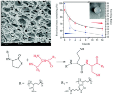 Graphical abstract: Poly(glutamic acid) hydrogels crosslinked via native chemical ligation