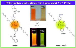 Graphical abstract: Highly selective ratiometric fluorescent probe based on diketopyrrolopyrrole for Au3+: an experimental and theoretical study