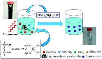 Graphical abstract: Silica analysis in bamboo black liquor by ICP-AES with the assistance of microwave digestion