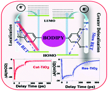 Graphical abstract: Demonstrating the role of anchoring functionality in interfacial electron transfer dynamics in the newly synthesized BODIPY–TiO2 nanostructure composite