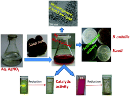 Graphical abstract: Study of the antibacterial and catalytic activity of silver colloids synthesized using the fruit of Sapindus mukorossi