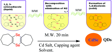 Graphical abstract: Microwave synthesis of bis(cycloalkeno)-1,4-diselenins: a novel source of Se for CdSe QDs