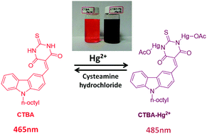 Graphical abstract: A simple cost effective carbazole–thiobarbituric acid conjugate as a ratiometric fluorescent probe for detection of mercury(ii) ions in aqueous medium