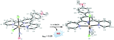 Graphical abstract: Photorelease of nitric oxide (NO) on ruthenium nitrosyl complexes with phenyl substituted terpyridines