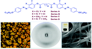 Graphical abstract: Smectic nanoclusters in the nematic mesophases of dimeric compounds composed of rod-like azo moieties with lateral substituents