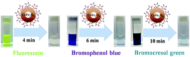 Graphical abstract: Influence of functional group of dye on the adsorption behaviour of CoFe2O4 nano-hollow spheres