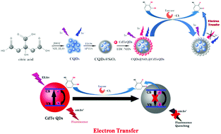 Graphical abstract: Visual and fluorescence detection of pyrogallol based on a ratiometric fluorescence-enzyme system