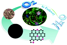 Graphical abstract: Nitrogen doped carbon materials derived from Gentiana scabra Bunge as high-performance catalysts for the oxygen reduction reaction
