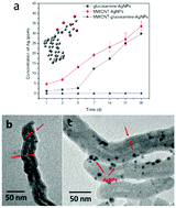 Graphical abstract: AgNP-coordinated glucosamine-grafted carbon nanotubes with enhanced antibacterial properties