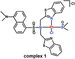 Graphical abstract: A novel platinum(ii) anticancer complex of danysl bis(2-benzothiazolylmethyl)amine with dimethyl sulfoxide as a leaving group: synthesis, cytotoxicity, interaction with DNA and human serum albumin