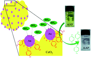 Graphical abstract: Synergistic effect of gold supported on redox active cerium oxide nanoparticles for the catalytic hydrogenation of 4-nitrophenol