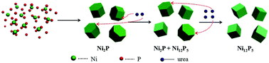 Graphical abstract: A simple method to freely adjust the crystalline phase and micro-morphology of NixPy compounds