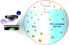 Graphical abstract: Synthesis of cationically charged photoluminescent coinage metal nanoclusters by sputtering over a liquid polymer matrix