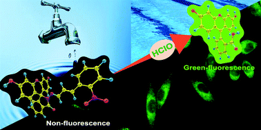 Graphical abstract: Highly efficient approach for hypochlorous acid sensing in water samples and living cells based on acylhydrazone Schiff base functionalized fluorescent probes