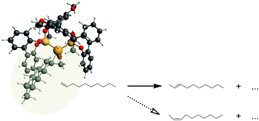 Graphical abstract: The thermochemistry of long chain olefin isomers during hydroformylation