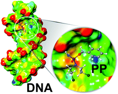 Graphical abstract: Negative hyperconjugation effect on the reactivity of phosphoramide mustard derivatives as a DNA alkylating agent: theoretical and experimental insights