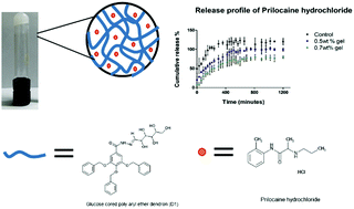 Graphical abstract: In vitro study of a glucose attached poly(aryl ether) dendron based gel as a drug carrier for a local anaesthetic