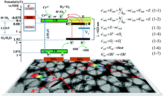 Graphical abstract: Formation of three-dimensionally ordered macroporous TiO2@nanosheet SnS2 heterojunctions for exceptional visible-light driven photocatalytic activity