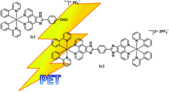 Graphical abstract: Efficiency of photoinduced electron transfer in mono- and di-nuclear iridium complexes: a comparative study