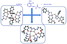 Graphical abstract: Structurally different mono-, bi- and trinuclear Pd(ii) complexes and their DNA/protein interaction, DNA cleavage, and anti-oxidant, anti-microbial and cytotoxic studies