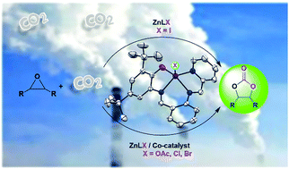 Graphical abstract: Development of pyridine based o-aminophenolate zinc complexes as structurally tunable catalysts for CO2 fixation into cyclic carbonates