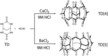 Graphical abstract: Template-directed synthesis of cucurbituril analogues using propanediurea as a building block