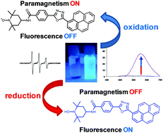 Graphical abstract: Synthesis of novel profluorescent nitroxides as dual luminescent-paramagnetic active probes