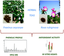 Graphical abstract: Rosa rubiginosa and Fraxinus oxycarpa herbal teas: characterization of phytochemical profiles by liquid chromatography-mass spectrometry, and evaluation of the antioxidant activity