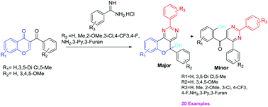Graphical abstract: Synthesis of novel fused chromone–pyrimidine hybrids and 2,4,5-trisubstituted pyrimidine derivatives via ANRORC rearrangement