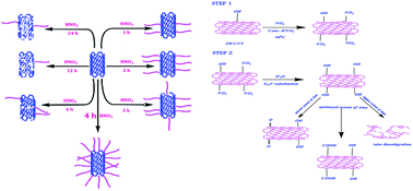 Graphical abstract: New insights into the spectral, thermal and morphological analysis of time dependent structural changes during open end functionalization of single walled carbon nanotubes