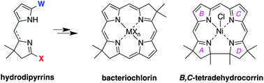 Graphical abstract: Synthesis of tailored hydrodipyrrins and their examination in directed routes to bacteriochlorins and tetradehydrocorrins