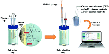 Graphical abstract: Efficient design for in situ determination of amlodipine in whole blood samples using fast Fourier transform stripping square wave voltammetry after preconcentration by electromembrane extraction
