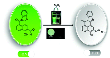 Graphical abstract: A highly sensitive and selective fluorescent probe for N2H4 in air and living cells