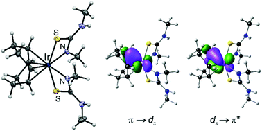 Graphical abstract: Synthesis, characterization, computational and antimicrobial activities of a novel iridium thiourea complex