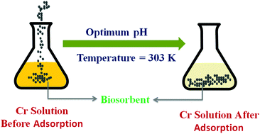 Graphical abstract: A comparative study of the removal of Cr(vi) from synthetic solution using natural biosorbents