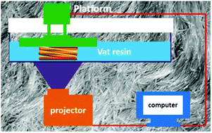 Graphical abstract: Nanowire enhanced dimensional accuracy in acrylate resin-based 3D printing